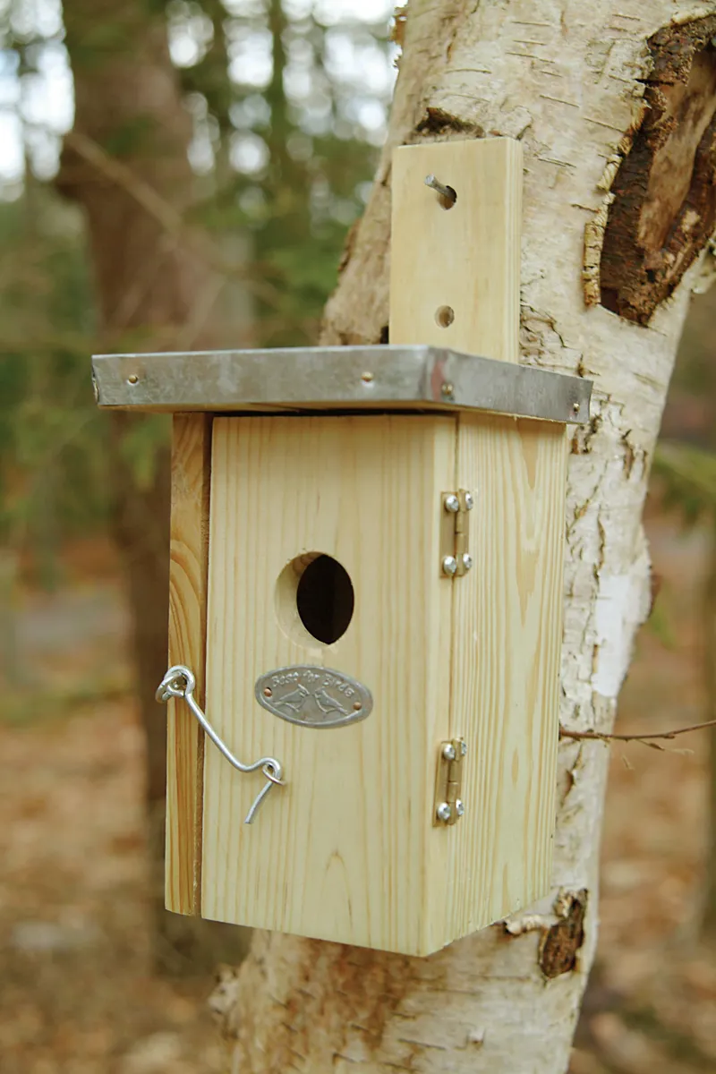 Wren Nesting Box-3